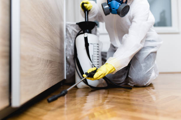 Trusted Burnt Store Marina, FL Pest Control Experts