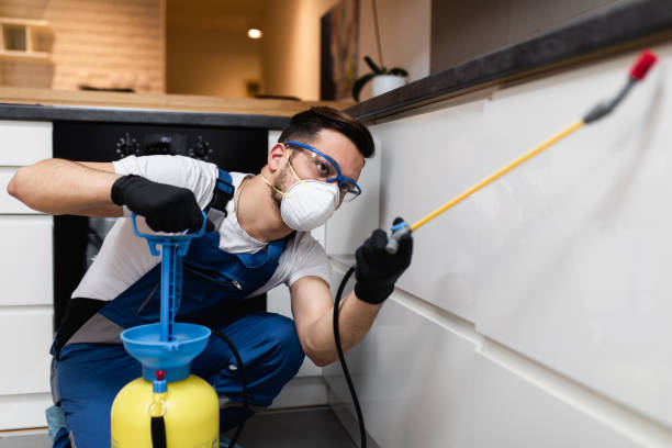 Best Residential Pest Control  in Burnt Store Marina, FL