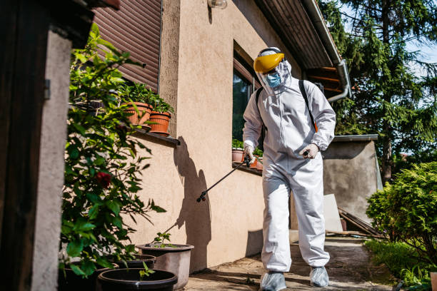 Best Affordable Pest Control Services  in Burnt Store Marina, FL