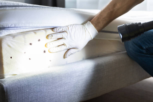 Best Exterminator Services  in Burnt Store Marina, FL