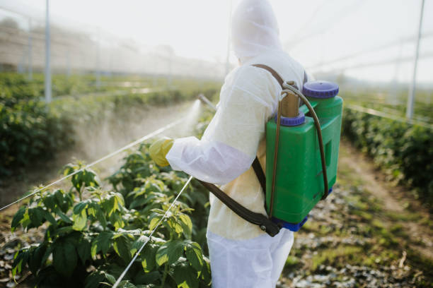 Best Affordable Pest Control Services  in Burnt Store Marina, FL